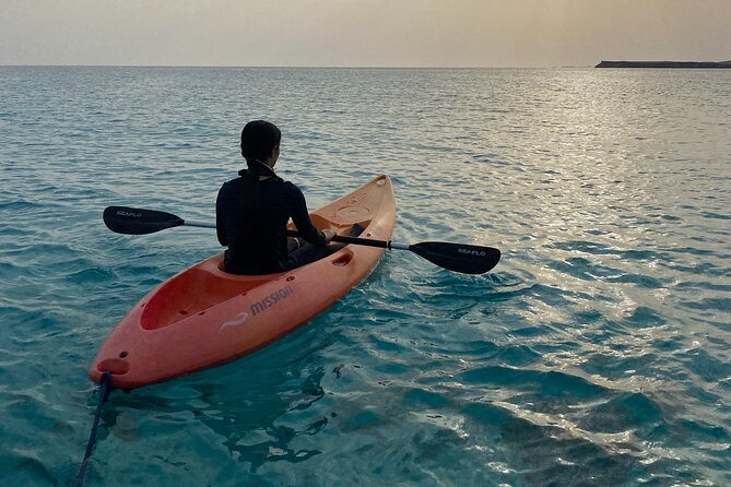 Daymaniyat Islands Snorkeling Sharing Trip - Coral, fish, and the limits of the guiding