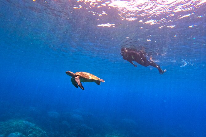 Daymaniyat Islands Snorkeling Sharing Trip - Weather, waves, and what to pack