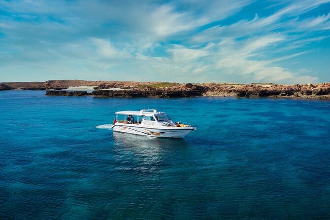 Daymaniyat Islands Snorkeling Sharing Trip - Is $106 good value?