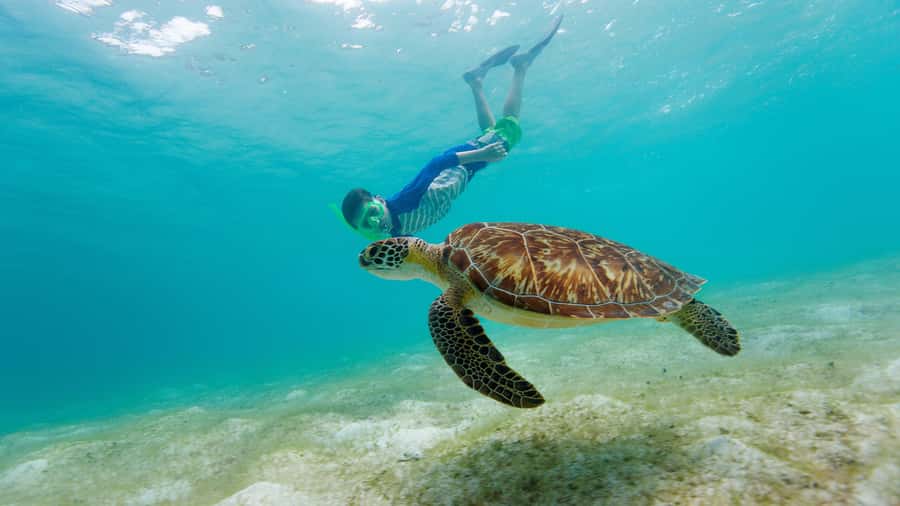 Daymaniyat Islands Snorkeling Small Group Turtles - Leaving Seeb Port for the Daymaniyat Islands