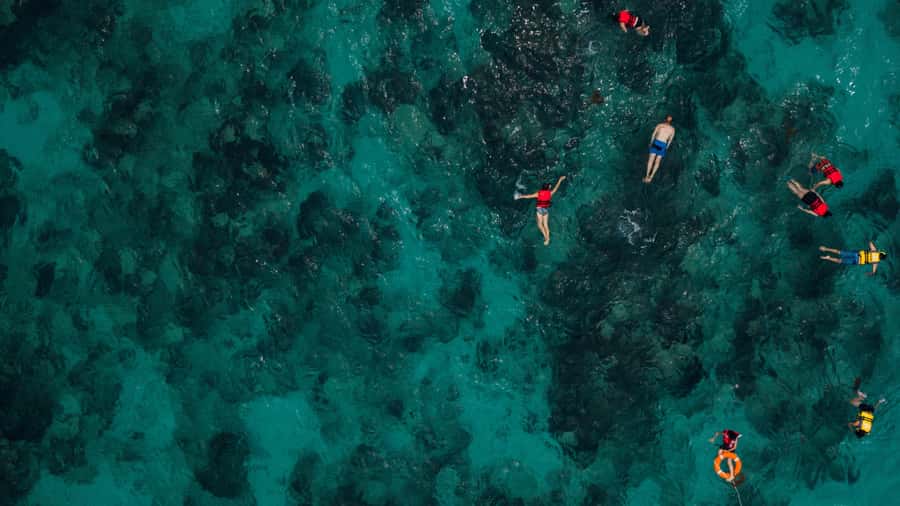 Daymaniyat Islands Snorkeling Small Group Turtles - What to pack for a comfortable four hours