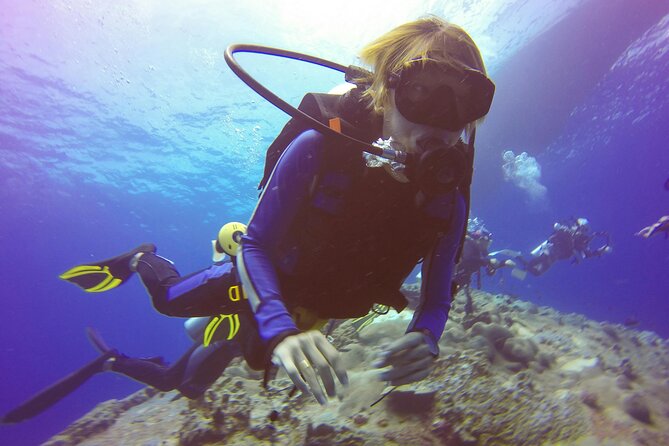 Daymaniyat Islands Snorkeling Tour - A compact morning on Oman’s coast