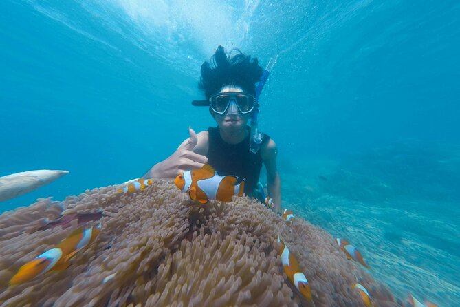 Daymaniyat Islands Snorkeling Tour - Kayaking is a useful extra, not part of the base price