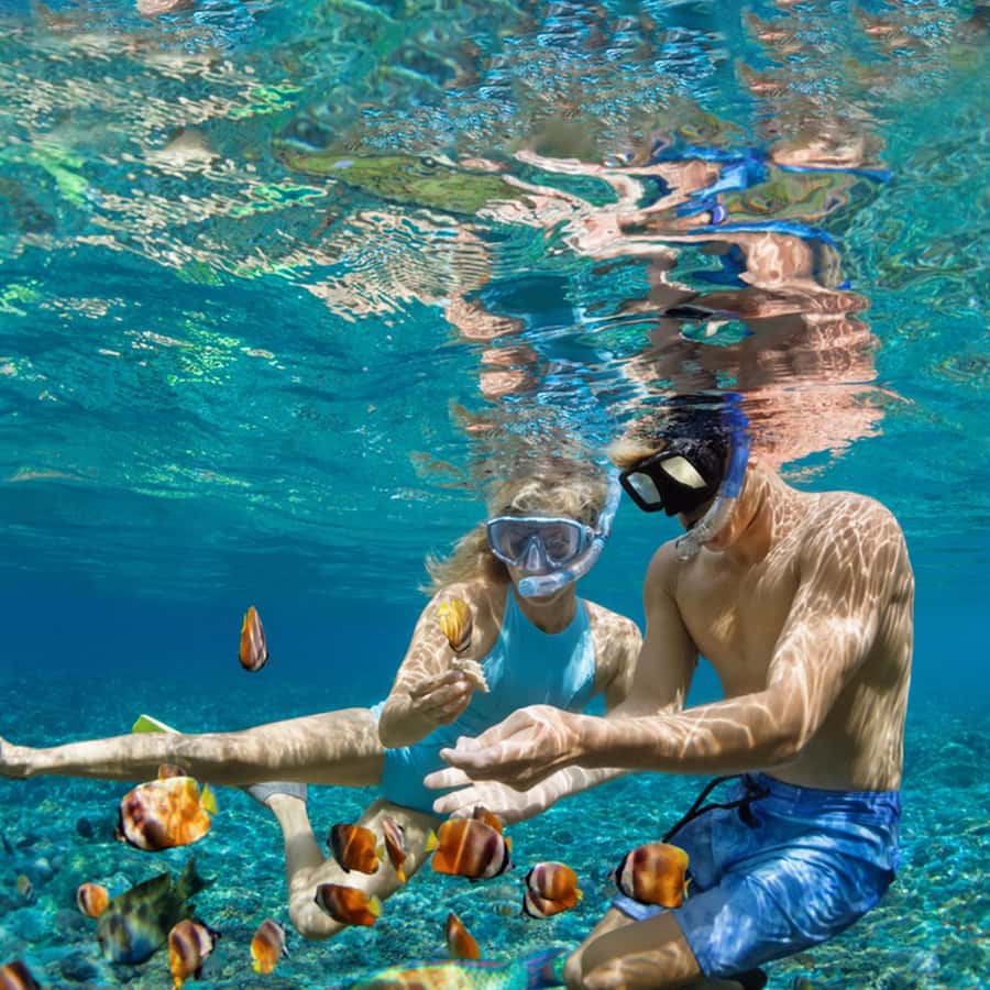 Daymaniyat Islands Snorkeling with Picnic Lunch - Jabal Kabeer and the first snorkeling stop