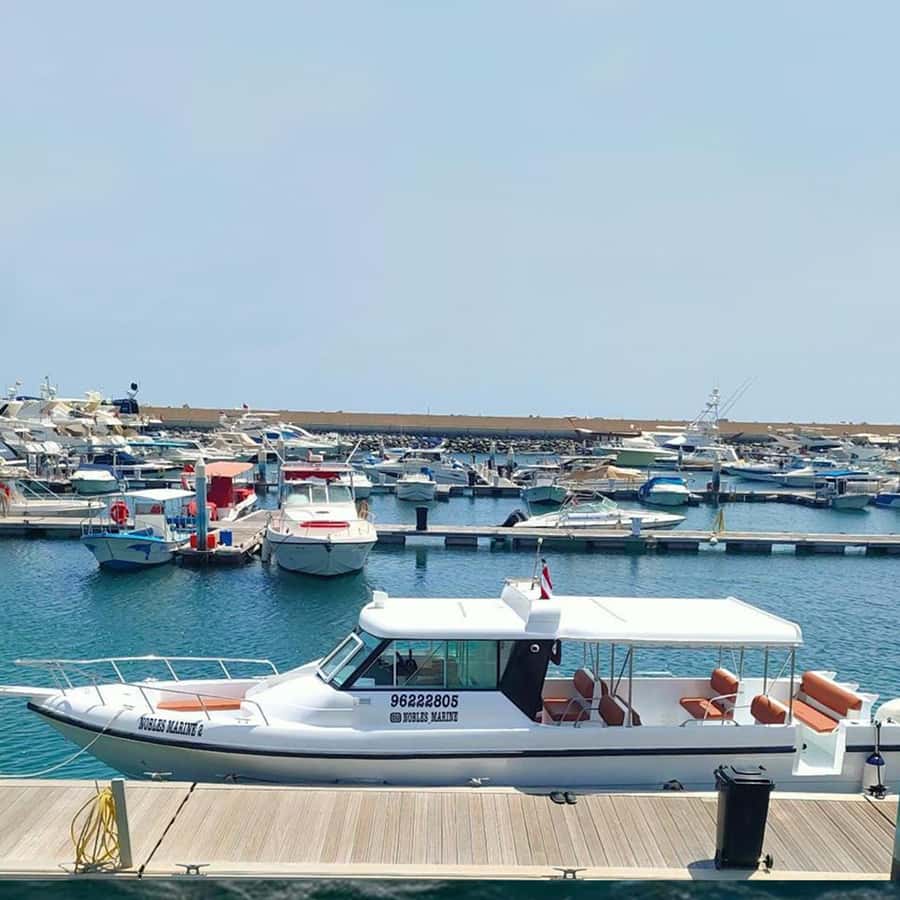 Daymaniyat Islands Snorkeling with Picnic Lunch - Turtle Bay and marine life viewing