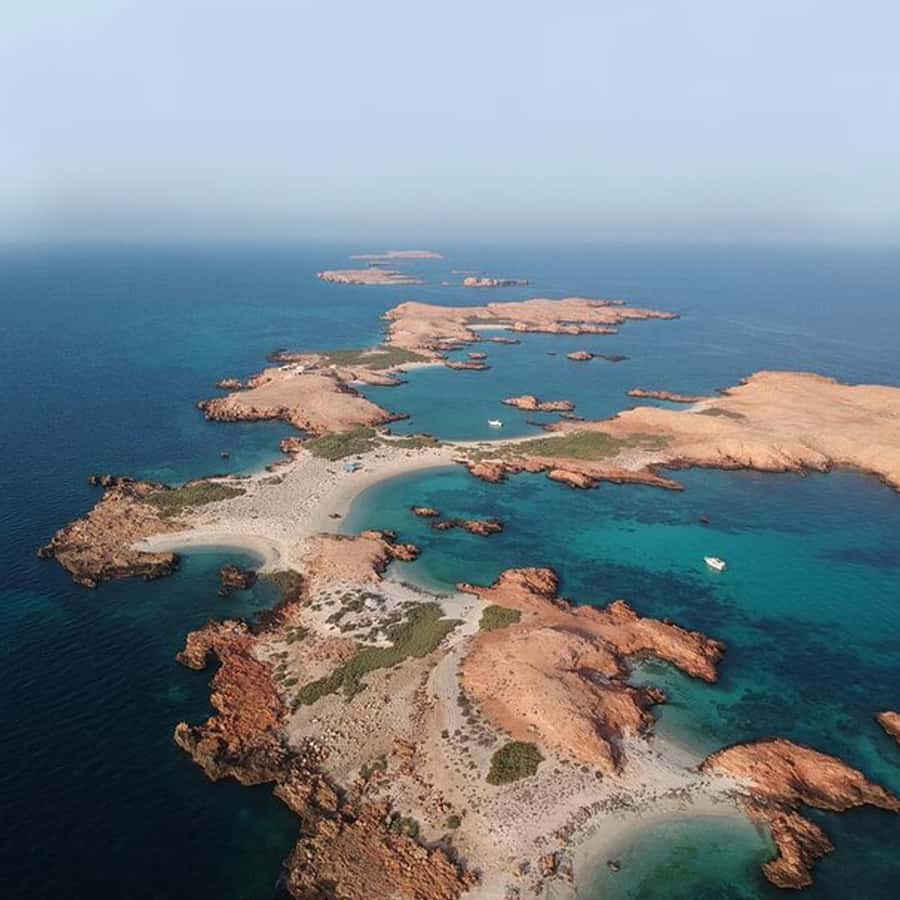 Daymaniyat Islands Snorkeling with Picnic Lunch - What the $71 price really buys