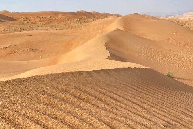 Desert Adventure with Off-Roading and Swimming in Wadi (Private). - From Muscat to the Golden Desert