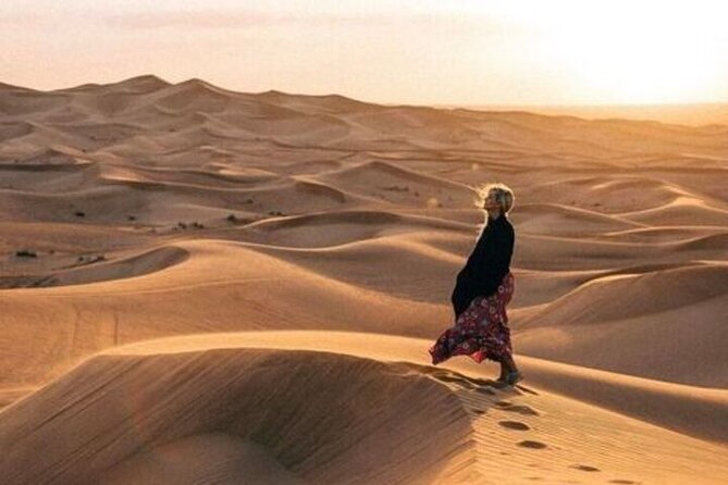Desert Overnight in Private Bedouin Tent - Key points to know before you book