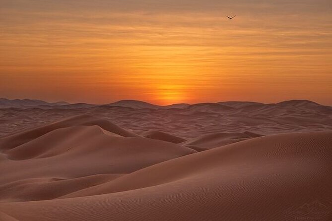 Desert Overnight in Private Bedouin Tent - Thumrait and the first sight of black camels