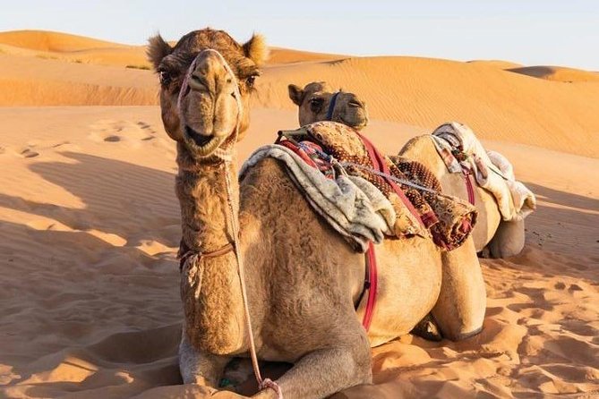 Desert Safari Private - From Muscat to Oman’s great sand sea