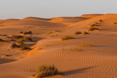 Desert Safari Private