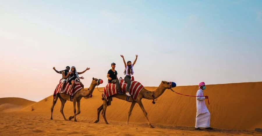 Desert Safari - Private 4WD car - Useful planning details for a smoother evening