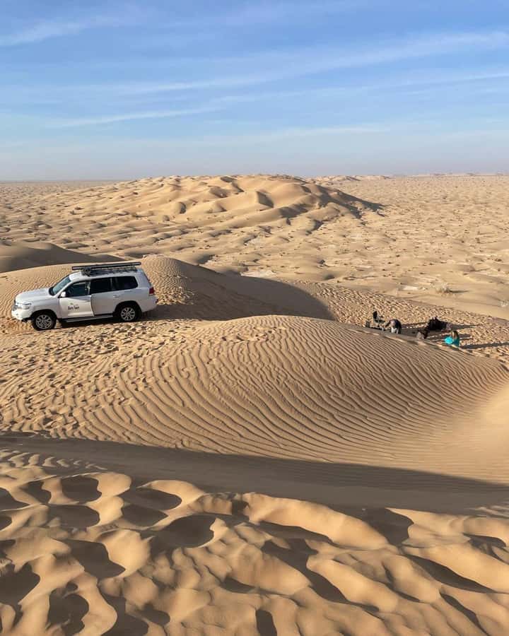 Desert Safari, Sunset & Sand Bashing (Rub Al Khali Desert) - Practical details that affect the day