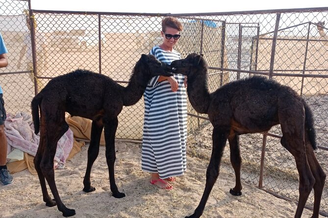 Desert Sunset Tour VisitSalalah - From Salalah to the frankincense country