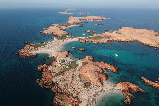 Dimaniyat Island Tour with Snorkeling - Dolphin Watching from the Open Sea