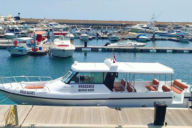 Dimaniyat Island Tour with Snorkeling - Swimming, Beaches, and Time on the Islands