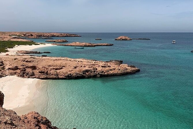 Dimaniyat Island Tour with Snorkeling - Snorkeling in Clear Island Water