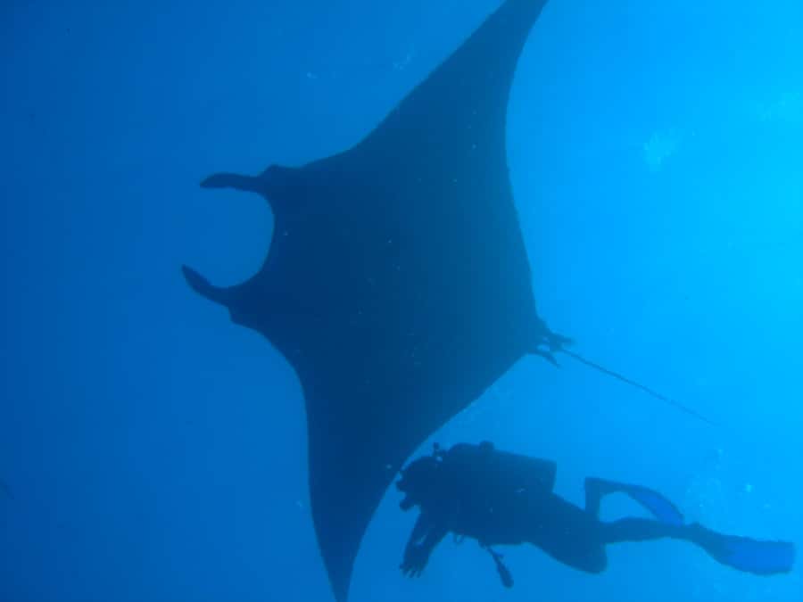 Dimaniyat Islands Scuba Diving Trip - Getting ready for the first session
