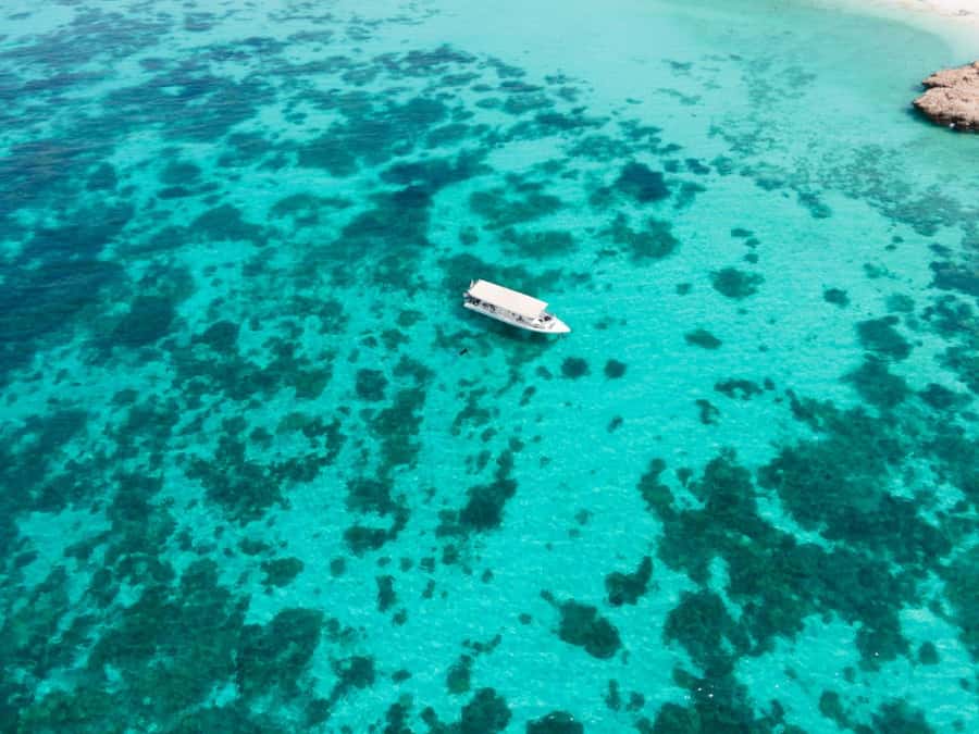 Dimaniyat Islands Scuba Diving Trip - What the $165 price really covers