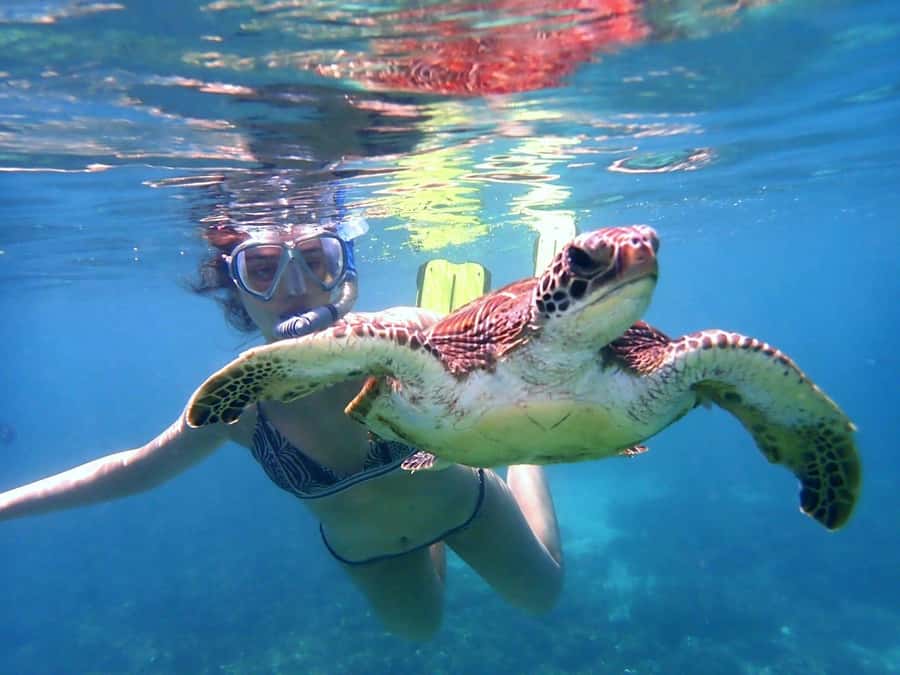Dimaniyat Islands Snorkeling Trip - What the $85 price really covers