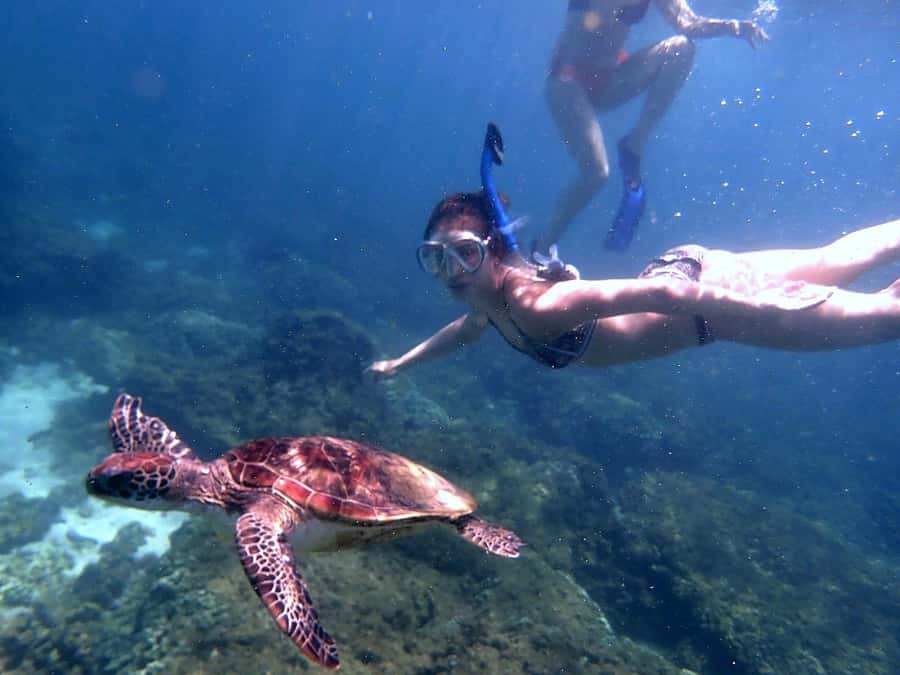 Dimaniyat Islands Snorkeling Trip - Who will enjoy this Oman snorkeling trip