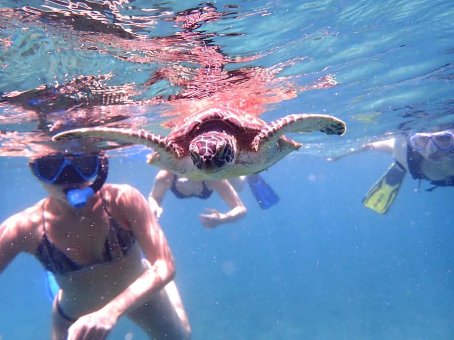 Dimaniyat Islands Snorkeling Trip - The crew and the feel of the outing