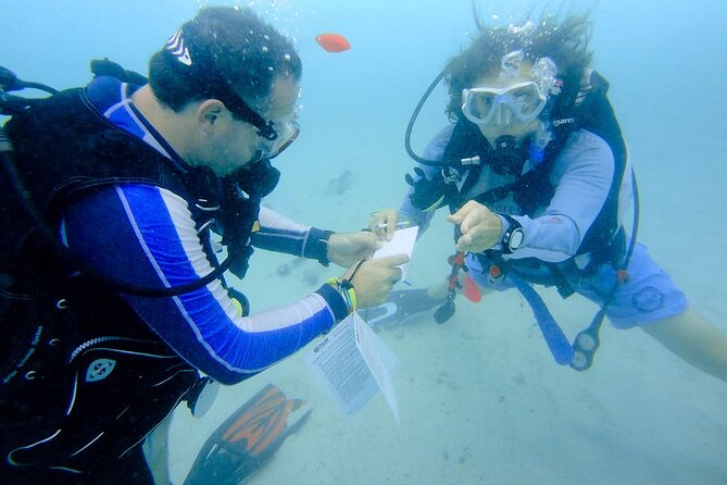 Discover Scuba Diving from a Fishing Village - Is $138 a fair price?
