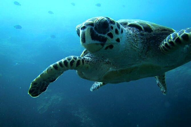 Discover Scuba Diving from a Fishing Village - Your first lesson with a PADI instructor