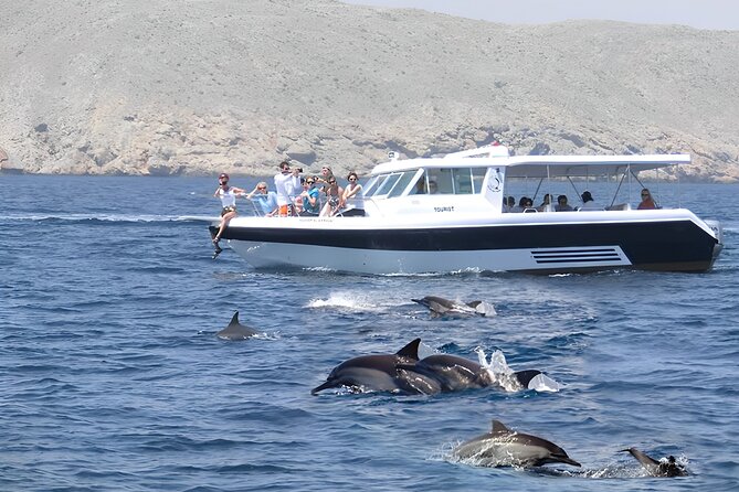 Dolphin Watching and Snorkeling Activity in Muscat - From Marina Bandar Al Rowdha at 9:45 am