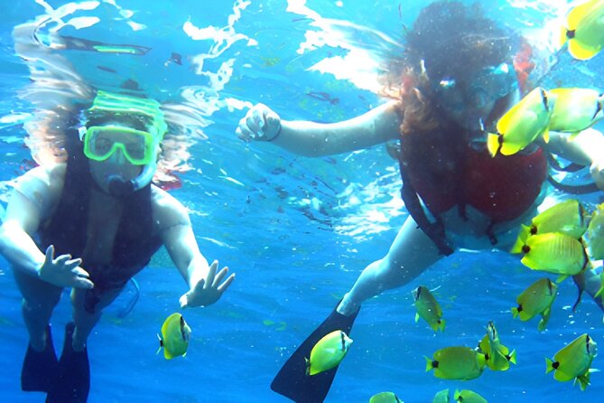 Dolphin Watching and Snorkeling Activity in Muscat - Snacks and drinks keep the morning simple