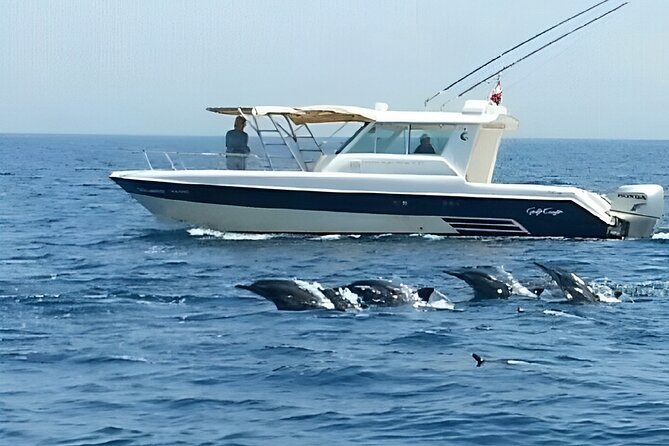 Dolphin Watching and Snorkeling Activity in Muscat - Three hours sounds simple, but check what it includes