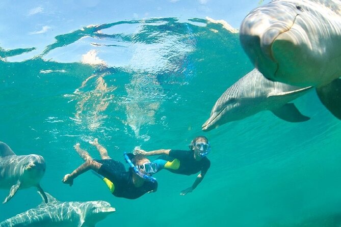 Dolphin Watching and Snorkeling Activity in Muscat - What to bring and what to confirm