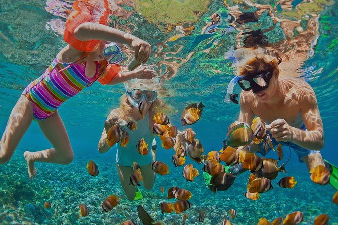 Dolphin Watching and Snorkeling Tour from Muscat - Key points to know before booking
