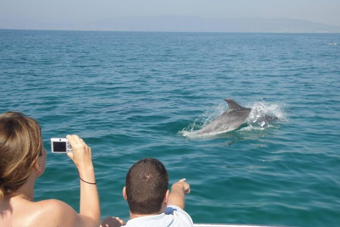 Dolphin Watching and Snorkeling Tour from Muscat - What the $94 price includes