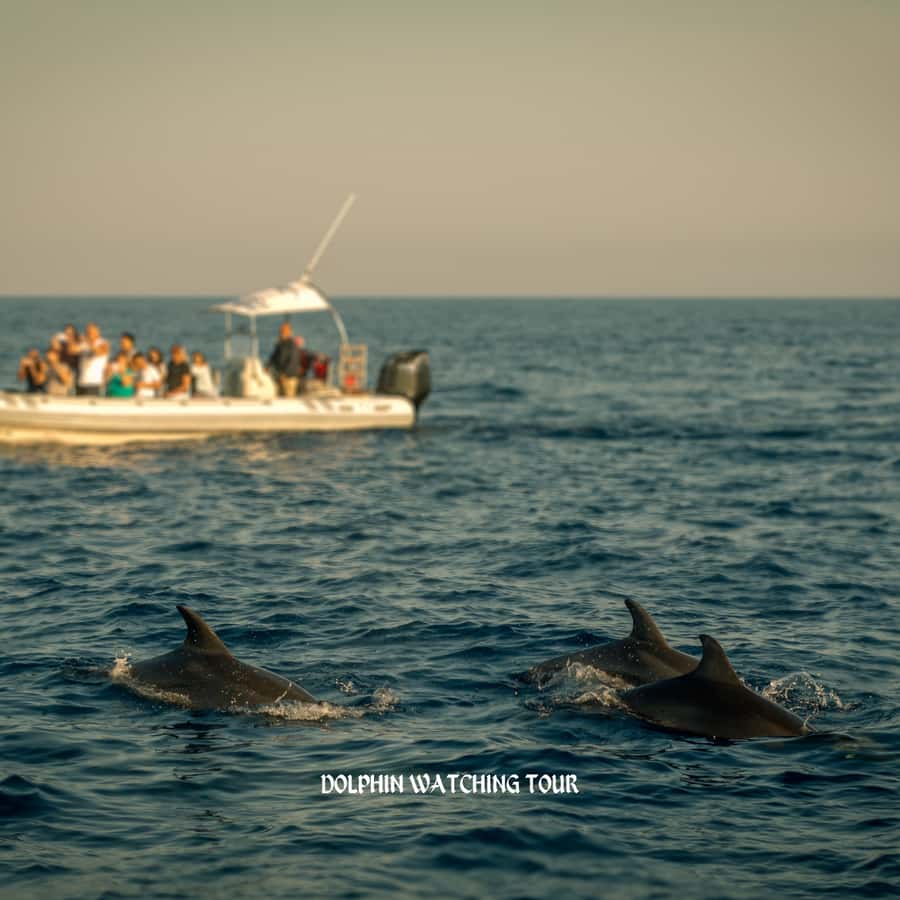 Dolphin Watching and Snorkeling Tour with Hotel Transfers - Setting out from Muscat to Bandar Al Rowdha Marina