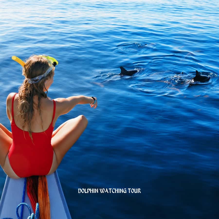 Dolphin Watching and Snorkeling Tour with Hotel Transfers - Snorkeling in clear coastal water