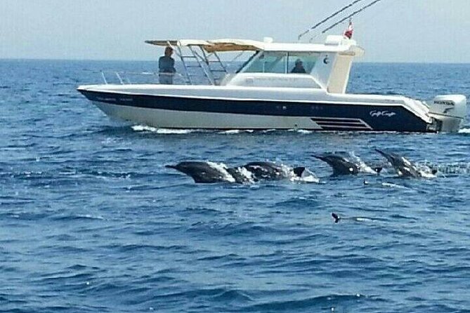 Dolphin Watching in Muscat - Service and the captain’s role