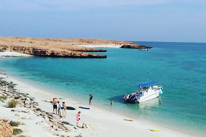Dolphin Watching & Snorkeling - Setting Out From Marina Bandar Al Rowdha
