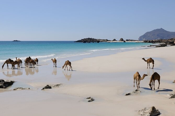 East and West Salalah Combination Private Full-day Tour - Fizayah Beach and the final coastal pause