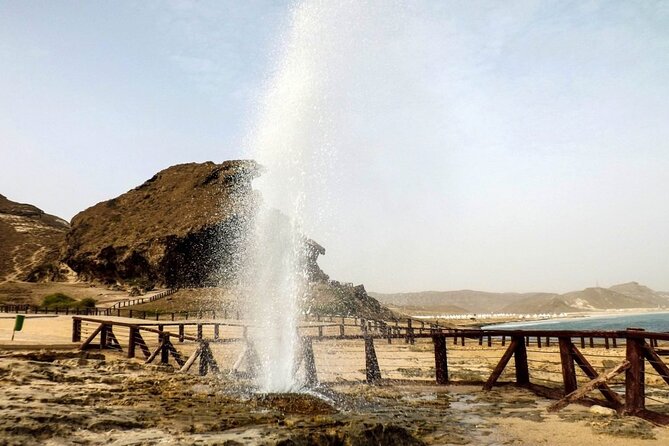 East and West Salalah Combination Private Full-day Tour - Who should book this Salalah tour?