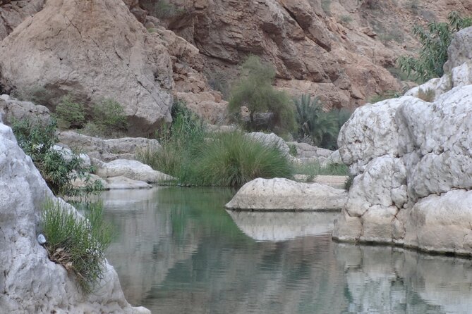 East Coast and Wadi Shab tour - Qalhat adds a major historical site