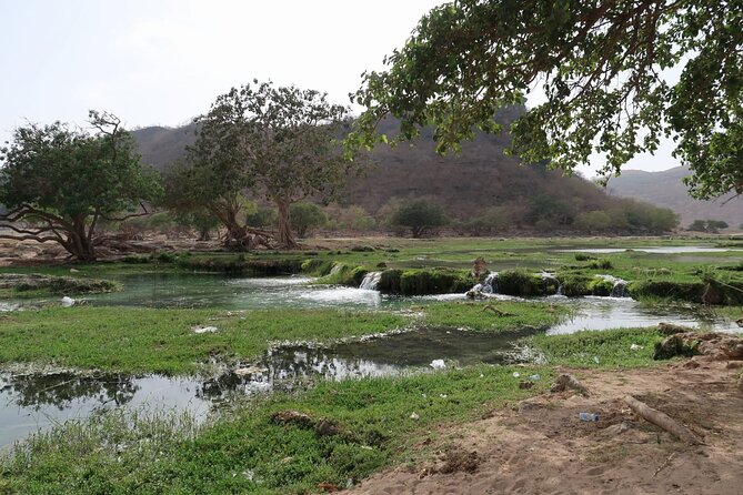 East of Salalah, Mountain Safari, Camels, Waterfall, White beach - Camels, the coast, and the extra highlights