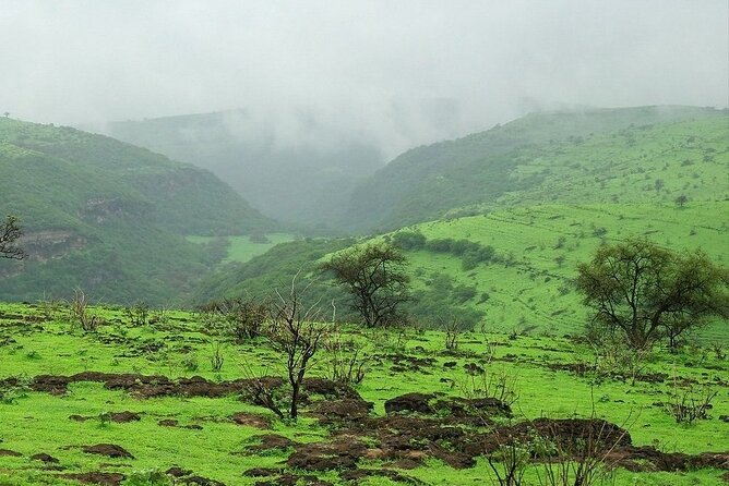 East of Salalah, Mountain Safari, Camels, Waterfall, White beach - The drive matters as much as the stops