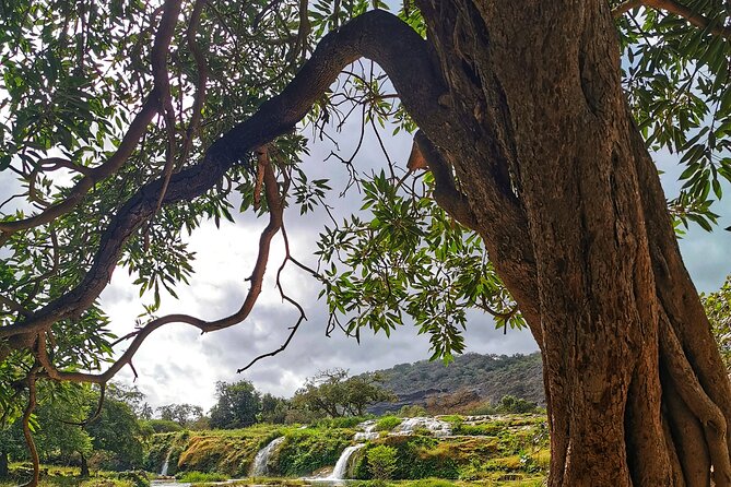 East of Salalah, Mountain Safari, Camels, Waterfall, White beach - Tawi Ateer shows Dhofar’s dramatic side