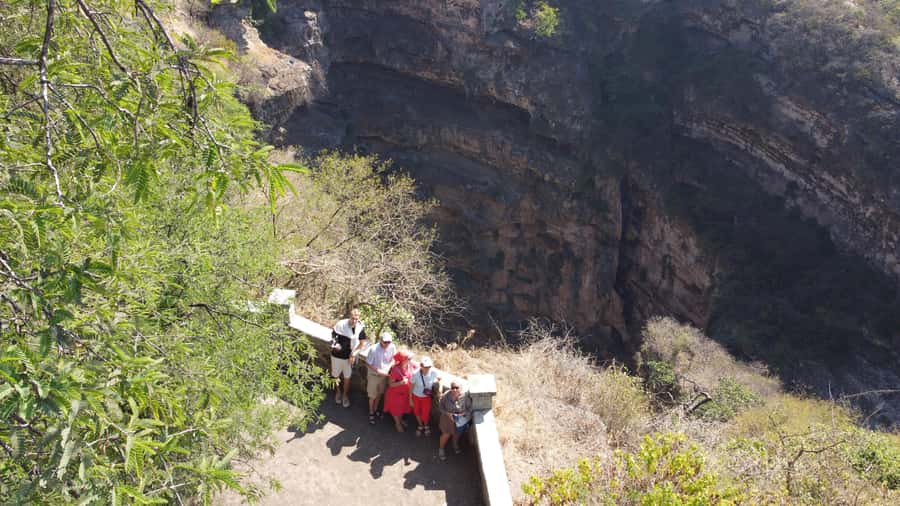 East Salalah Adventure: Nature, History, and Scenic Views - Baobab trees bring an unusual touch to Dhofar