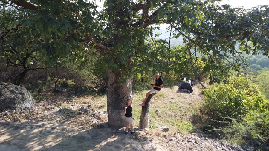 East Salalah Adventure: Nature, History, and Scenic Views - Mirbat Town connects the route to Oman’s seafaring past
