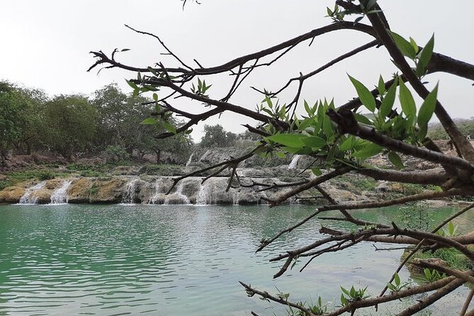 East Salalah Mountain Safari - Wadi Darbat brings water to the route