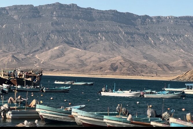 East Salalah tour Full day (private tour) - Sumhuram and the ancient coastal trade route