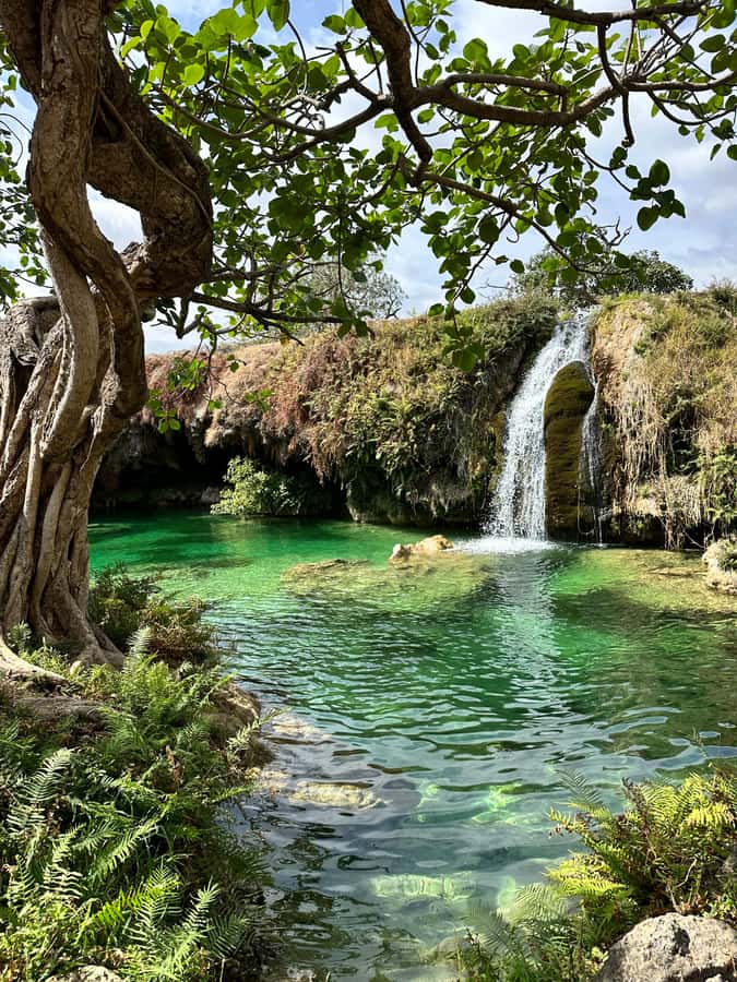 Elite Private Full Day Tour - Salalah Main Attractions - Why this Salalah day trip works