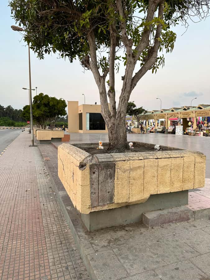 Elite Private Full Day Tour - Salalah Main Attractions - Ain Sahlanout adds a spring and a quieter pause